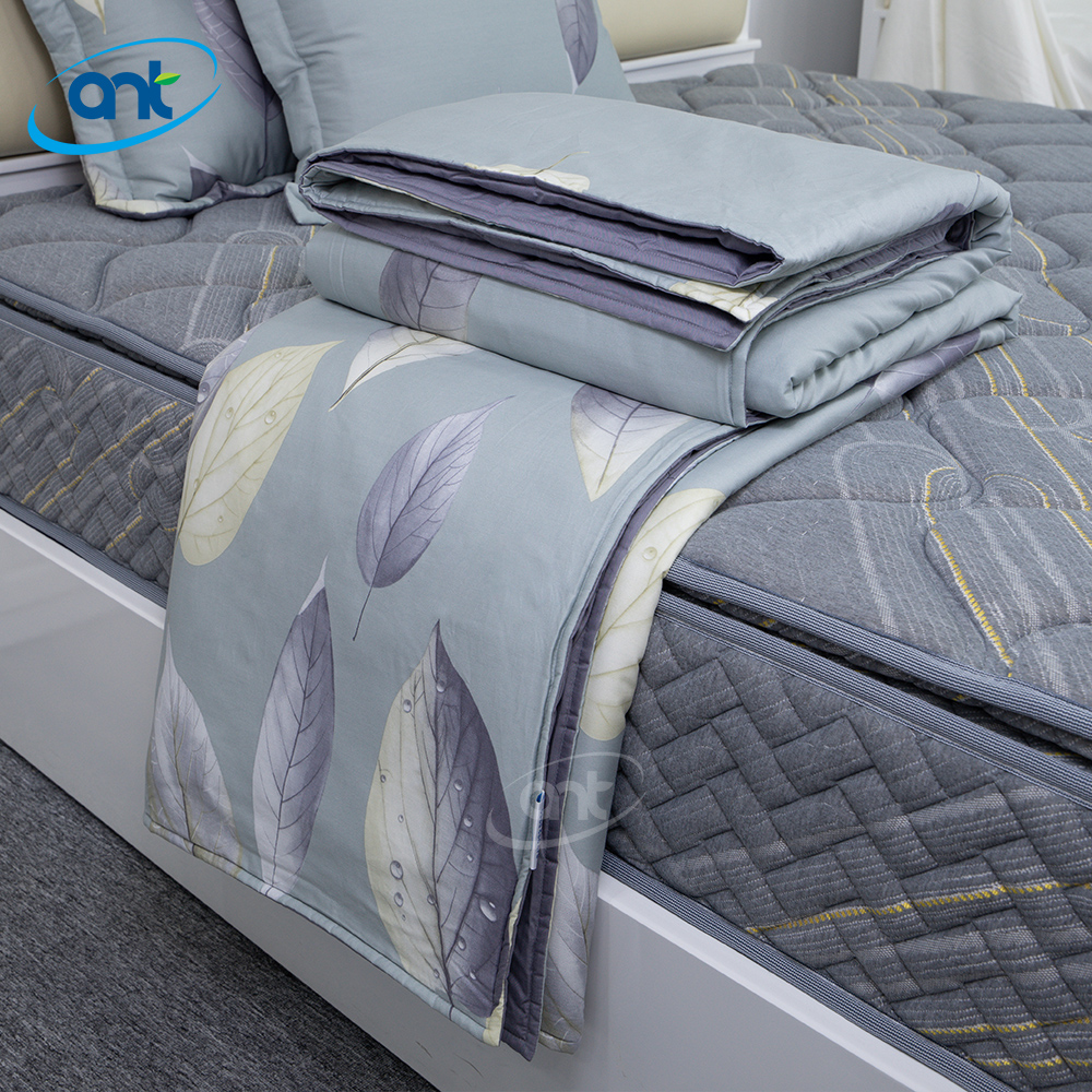 Bộ Chăn Ga Gối Modal Cotton MC4A