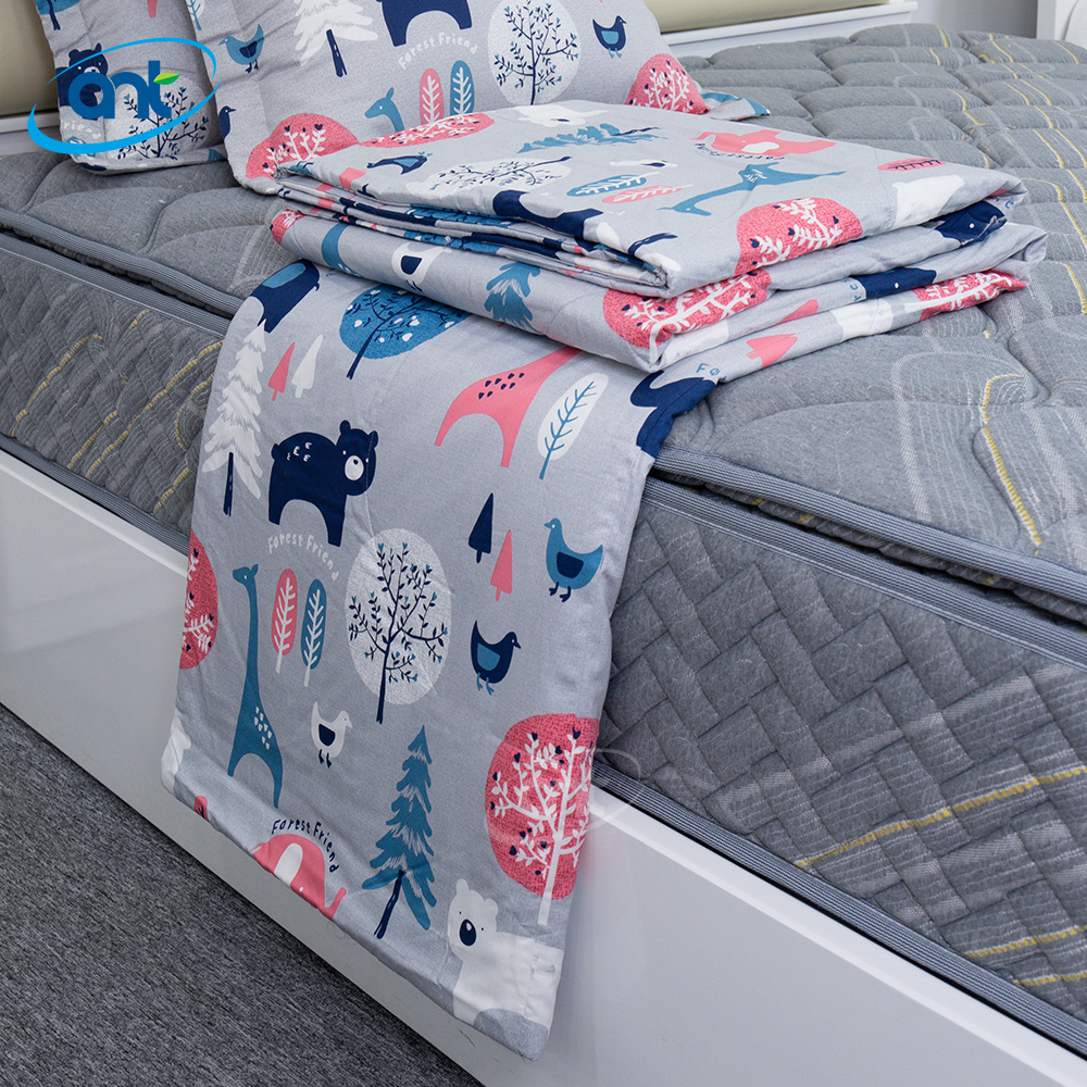 Bộ Chăn Ga Gối Modal Cotton MC5