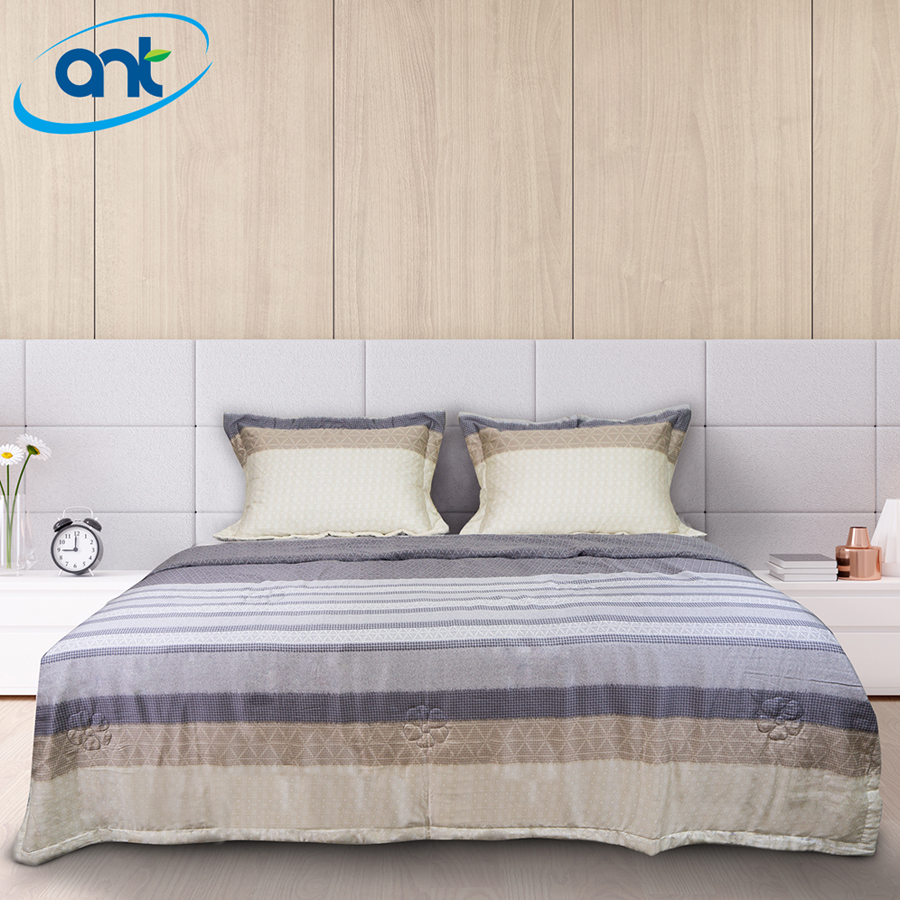 Bộ Chăn Ga Gối Tencen Lụa T01