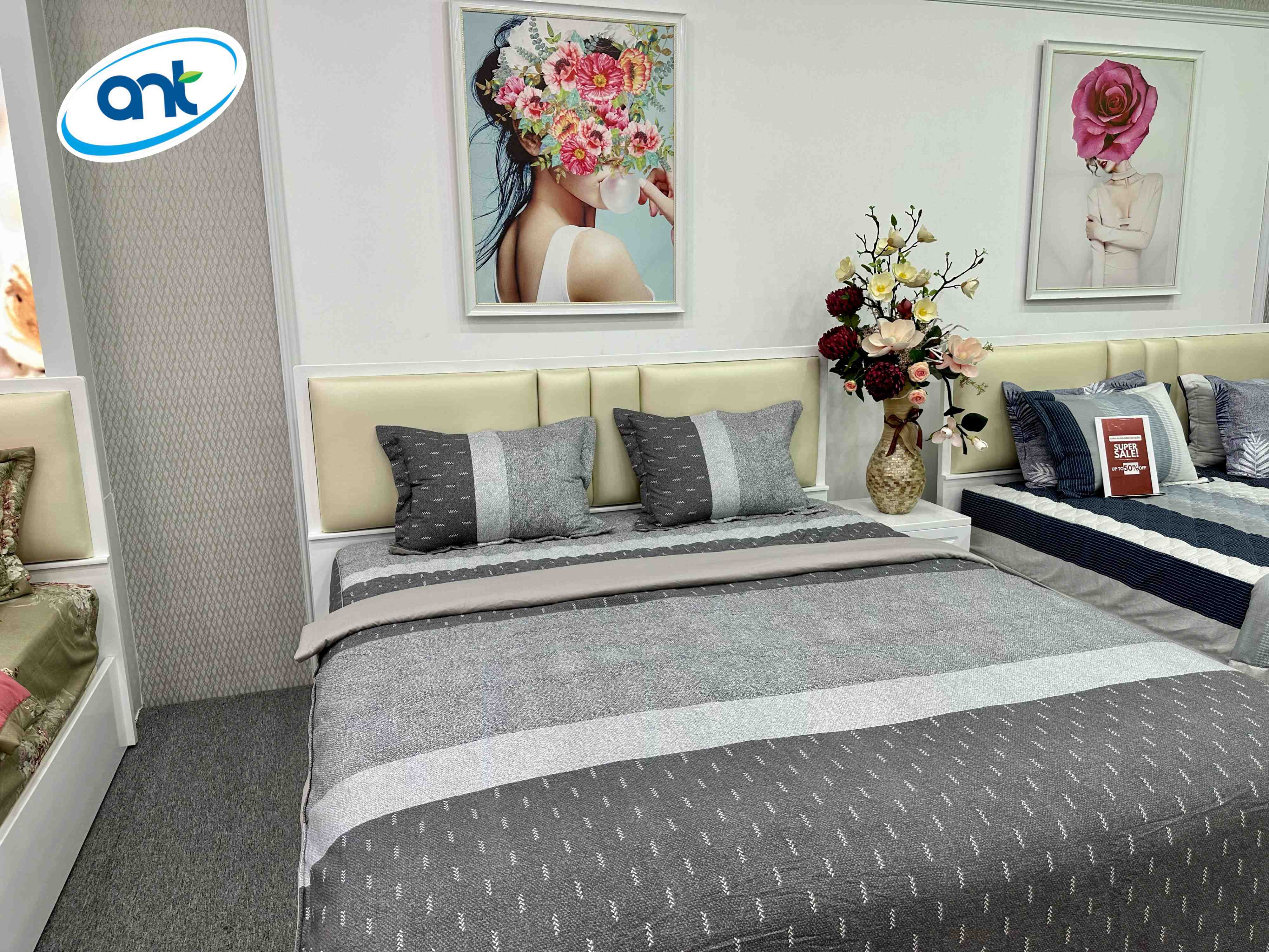 Bộ Chăn Ga Gối Modal Cotton MC3A