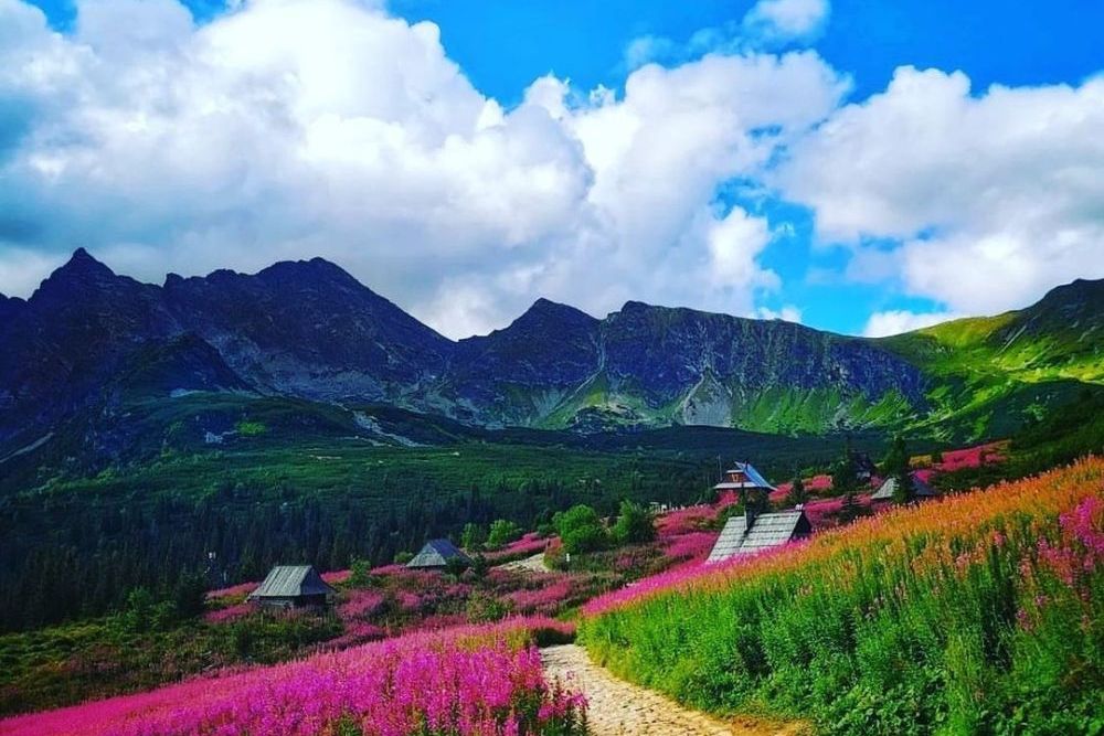 6 điểm ngắm hoa ít người biết ở châu Âu