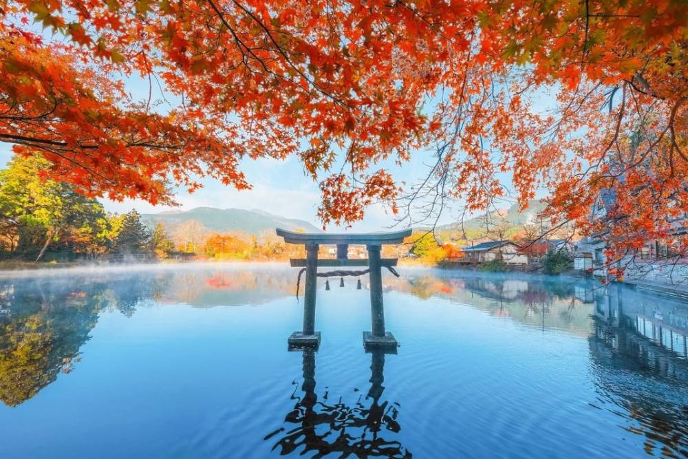 JNTO công bố lịch dự báo lá đỏ, lá vàng mới nhất cho mùa thu, Hokkaido mở màn từ cuối tháng 10