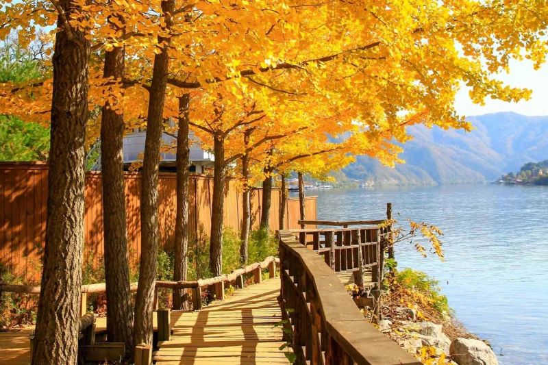 Gangwon vẫn miễn thị thực cho du khách Việt Nam