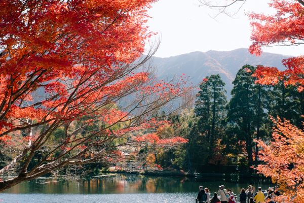 Khách Việt chưa thể du lịch Nhật Bản tự túc hoàn toàn