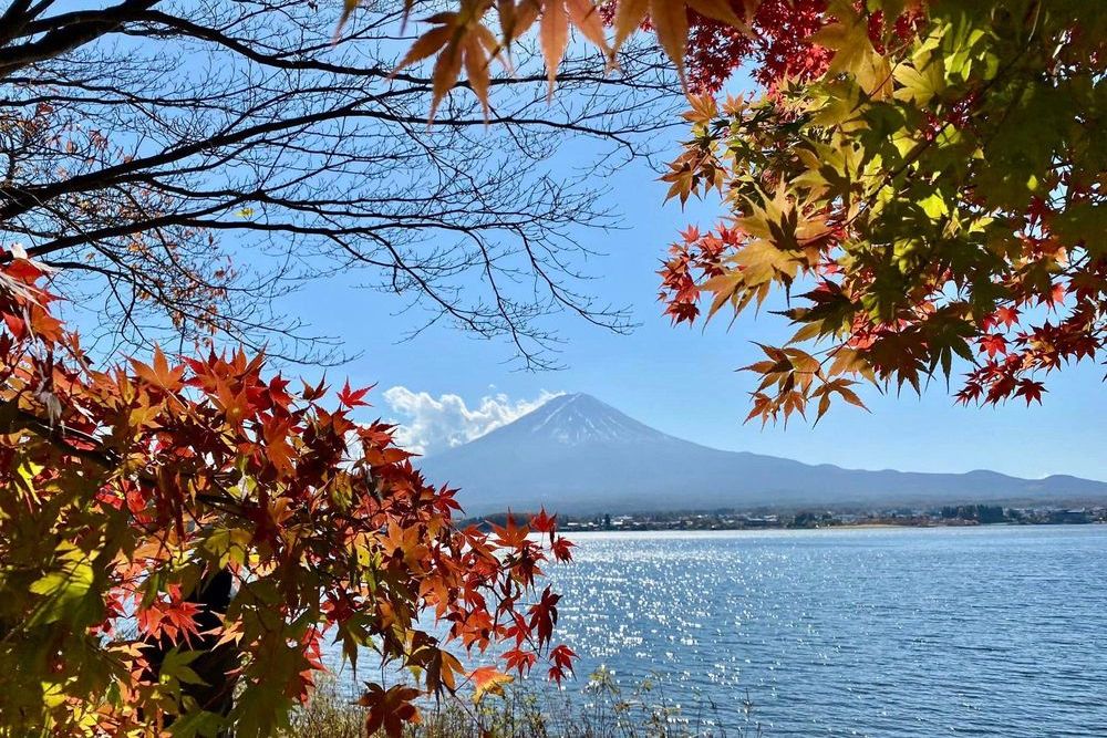 Khám phá vẻ đẹp mộng mơ của mùa thu Nhật Bản