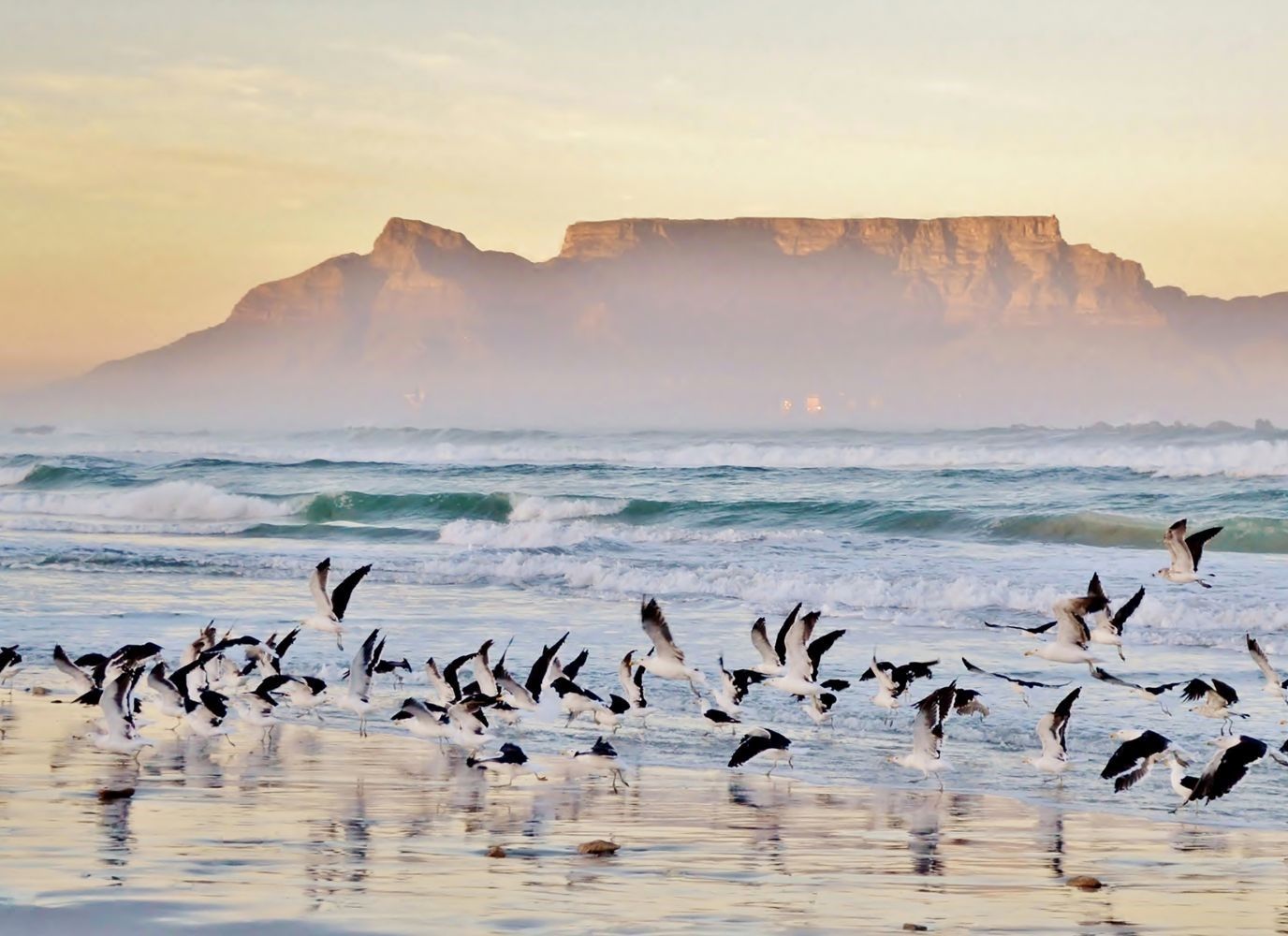 Địa điểm du lịch độc đáo và hấp dẫn không thể bỏ qua khi tới Nam Phi