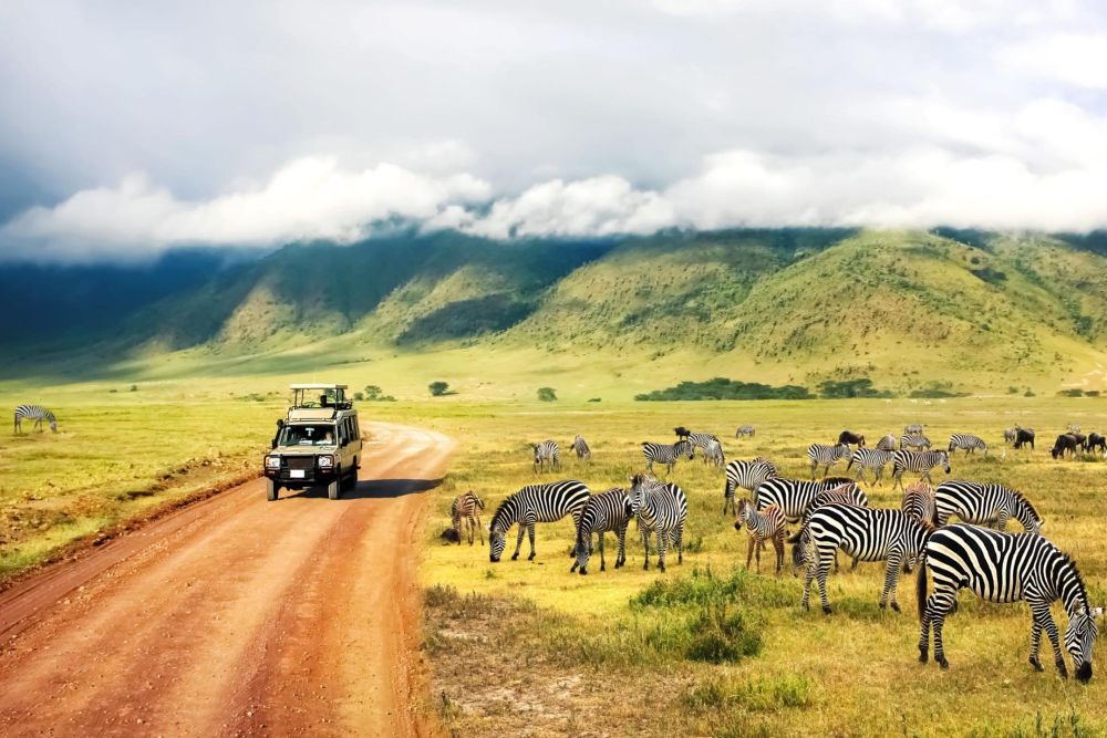 Trọn bộ thủ tục và kinh nghiệm xin visa du lịch Nam Phi 2023