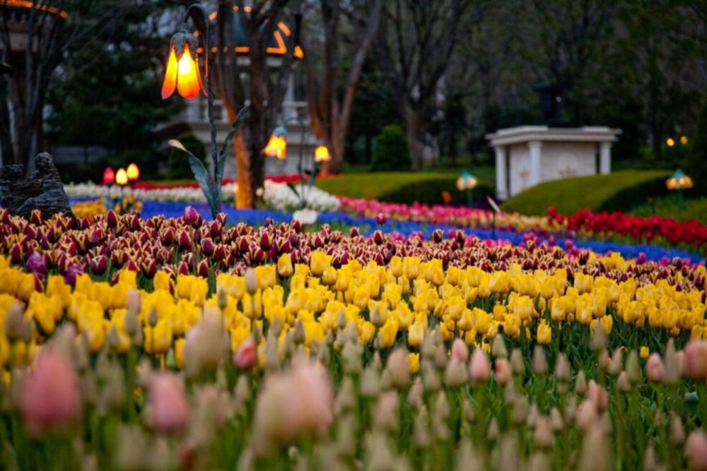 15 điều thú vị về Thổ Nhĩ Kỳ 5