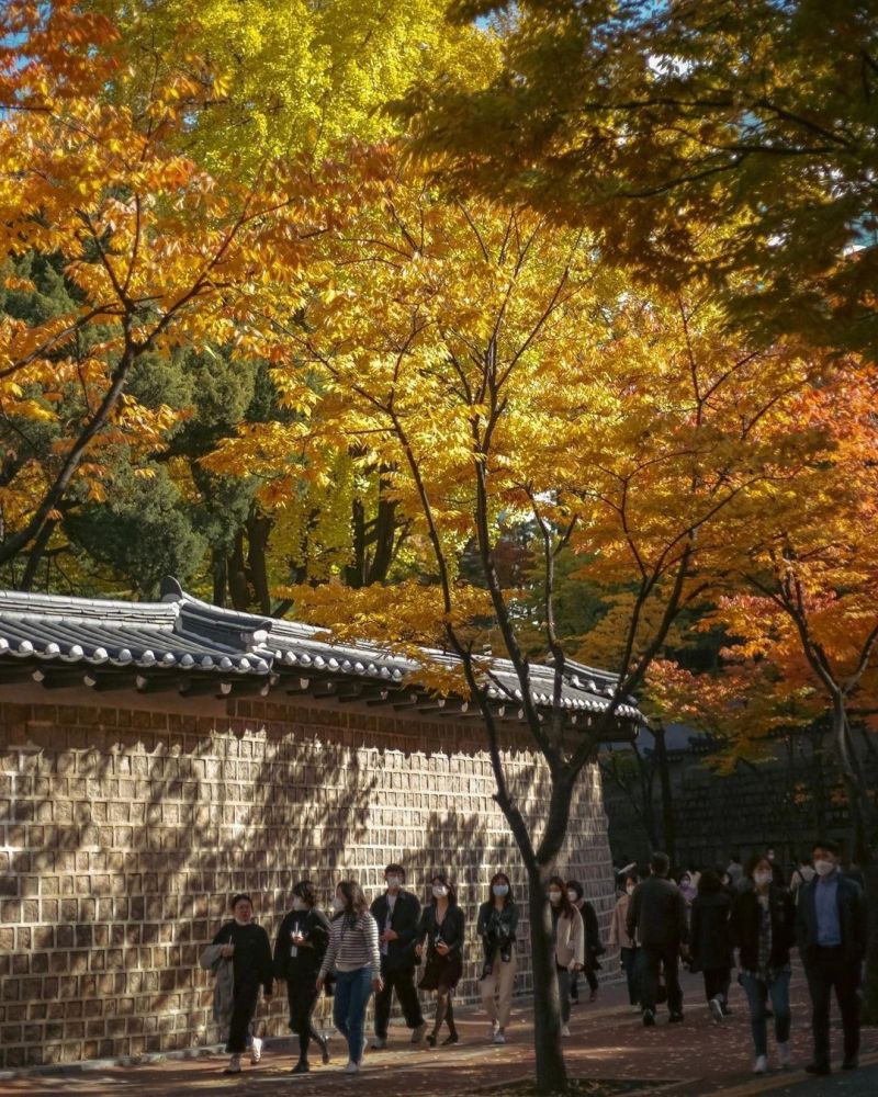 5 điểm ngắm lá vàng mùa thu gần trung tâm Seoul 10