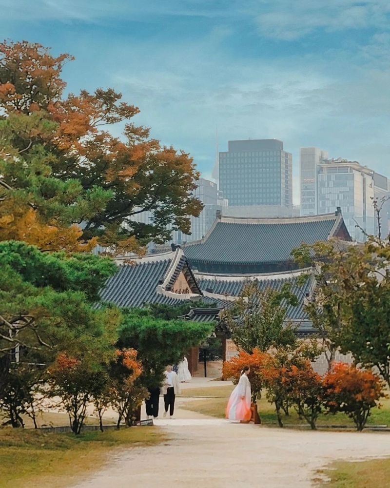 5 điểm ngắm lá vàng mùa thu gần trung tâm Seoul 5