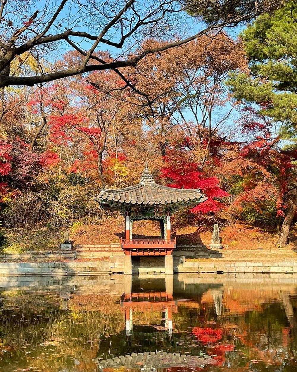 6 địa điểm tận hưởng mùa thu lãng mạn ở Hàn Quốc 5