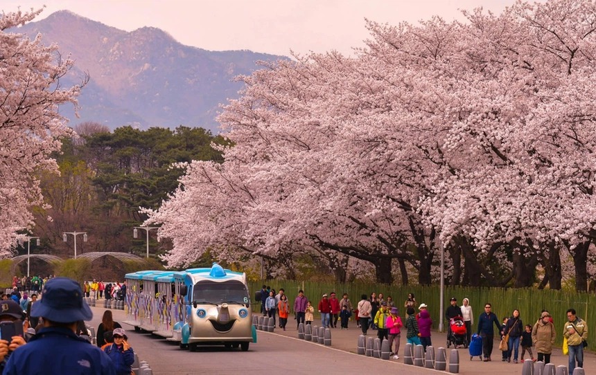 Bo tui loat diem den hap dan o Seoul, Gangwon 11