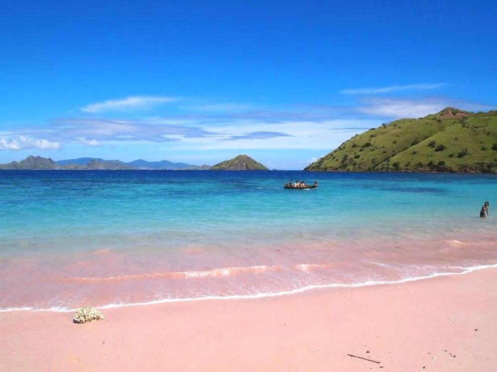 Chiêm ngưỡng bãi biển hồng đẹp như cổ tích ở Indonesia 1