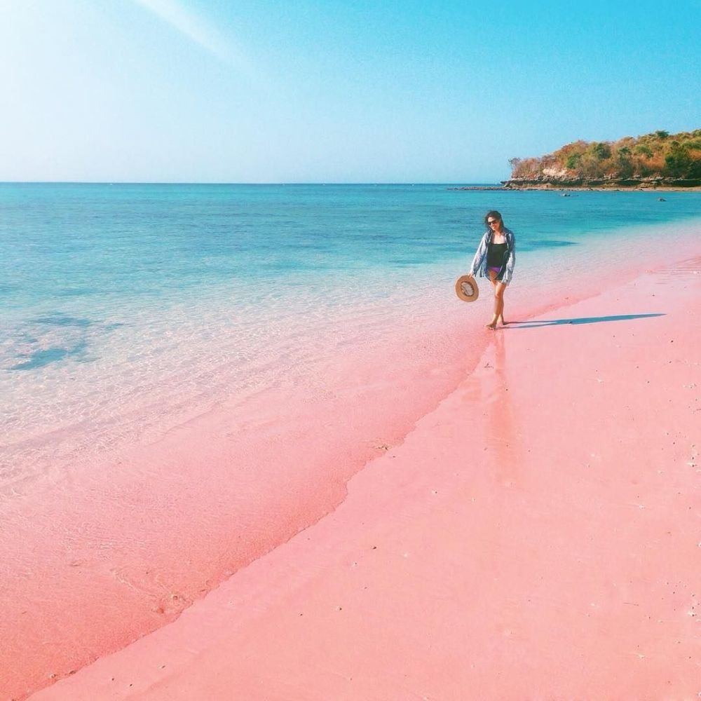 Chiêm ngưỡng bãi biển hồng đẹp như cổ tích ở Indonesia 8