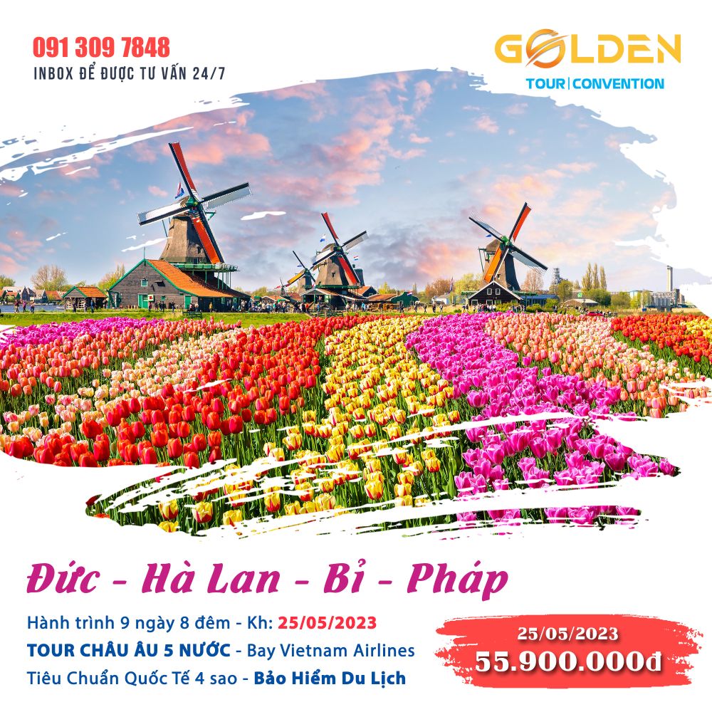 Chiêm ngưỡng vẻ đẹp hoa tulip ở Hà Lan 4