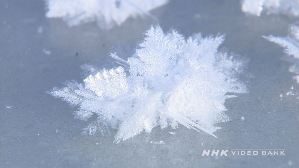 Độc đáo mặt hồ nở hoa băng ở Nhật Bản 3