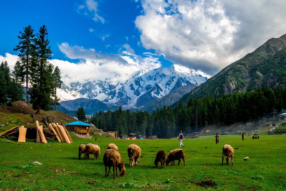 Khám Phá Du Lịch Pakistan: Bước Tiến Mới Nối Liền Việt Nam Và Vùng Đất Kỳ Quan ảnh 2