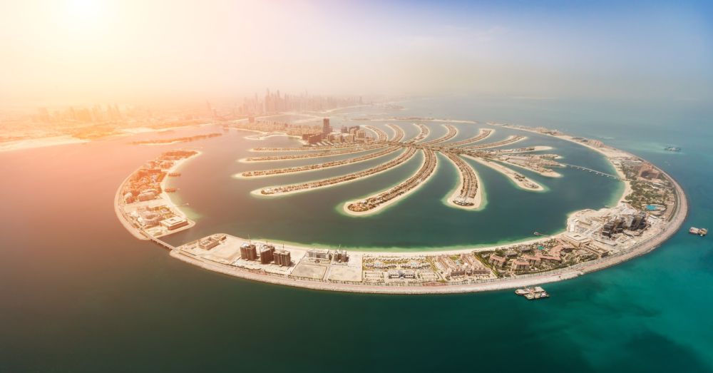 Du xuân Giáp Thìn tại xứ sở giàu có Dubai 2024 - Ảnh 11