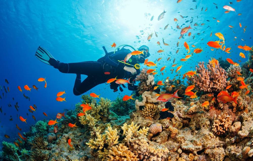 Khai trương đường bay thẳng từ Hà Nội đến Cebu, PHILIPPINES từ ngày 01/12/2025 ảnh 11