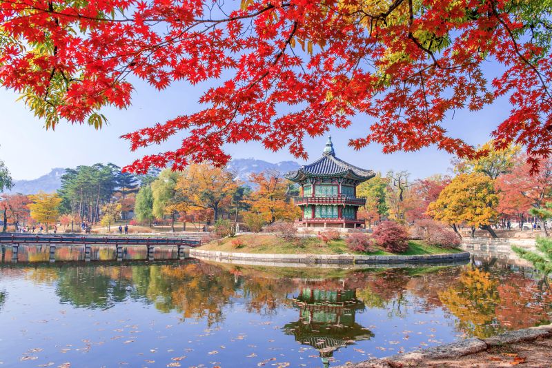 Gangwon vẫn miễn thị thực cho du khách Việt Nam 2