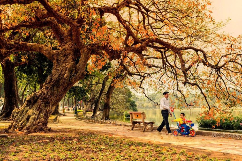 Hà Nội là điểm đến hấp dẫn nhất thế giới vào mùa thu 2