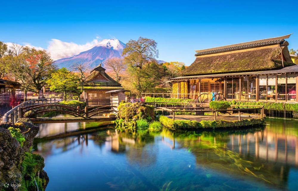 Hòa mình vào sắc thu lá đỏ cùng Tour Nhật Bản ảnh 1