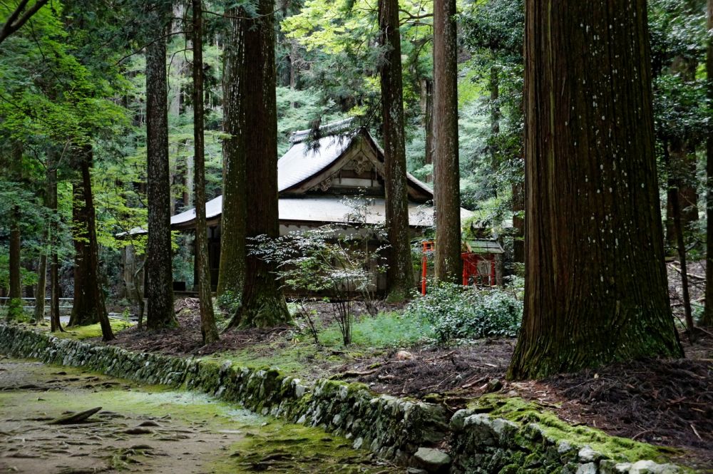 Khám phá 17 di tích huyền thoại ở cố đô Kyoto Nhật Bản 10