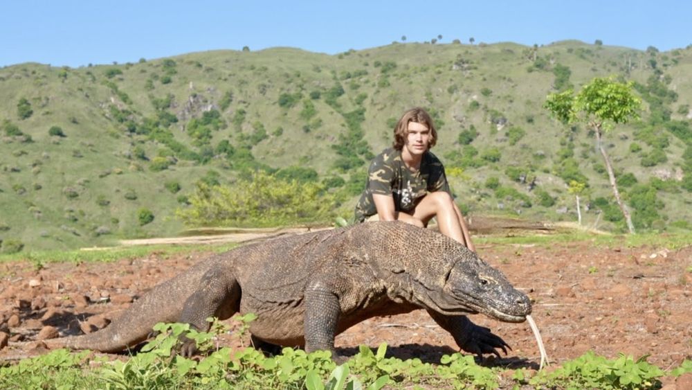 Khám phá đảo rồng Komodo báu vật của Indonesia - Ảnh 2