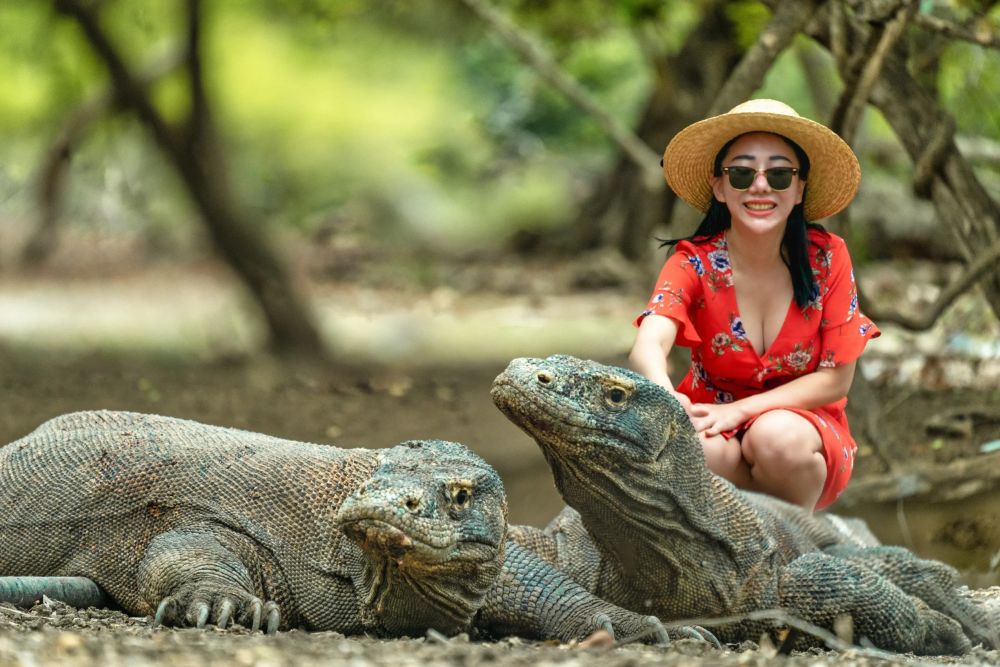 Khám phá đảo rồng Komodo báu vật của Indonesia - Ảnh 3