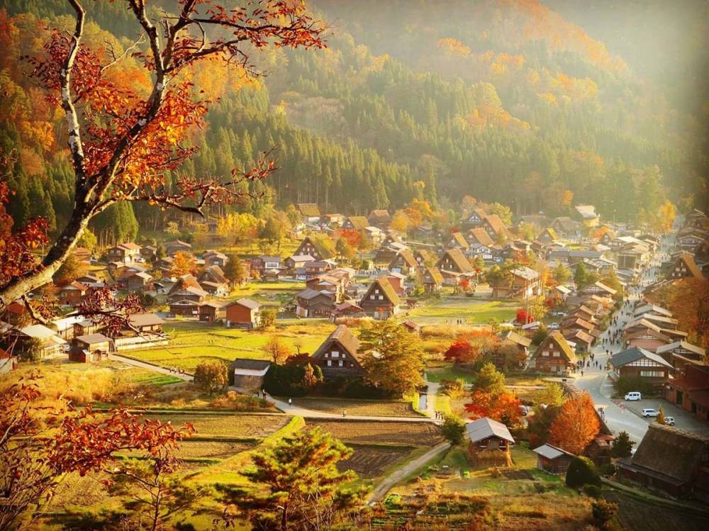 Khám phá Takayama nổi tiếng với làng cổ Shirakawago và thịt bò Hida trứ danh Gifu ảnh 1