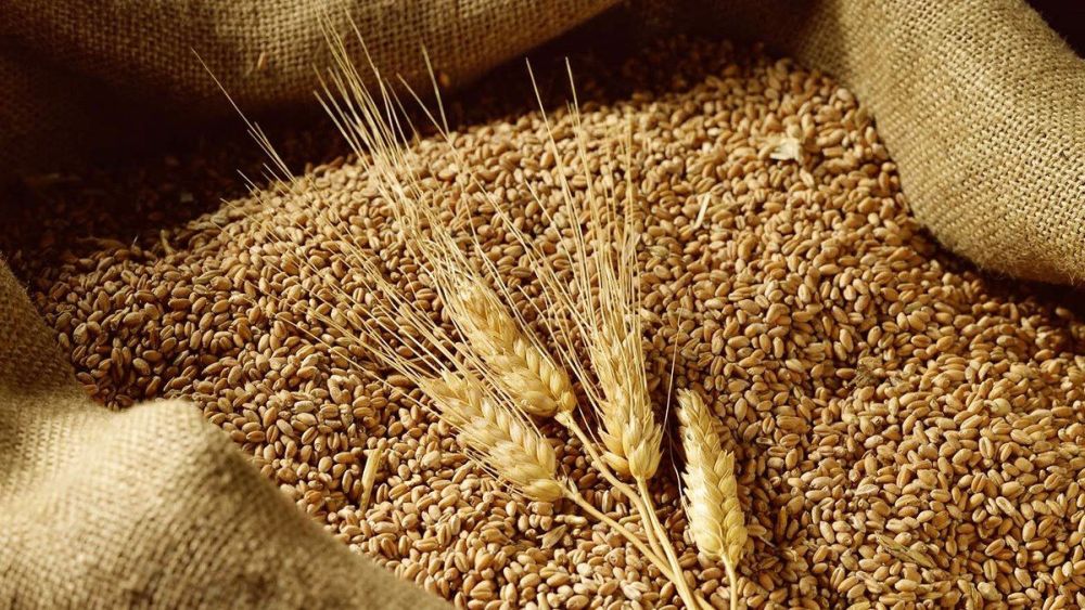 Khám phá văn hóa độc đáo của ẩm thực Mỹ 1