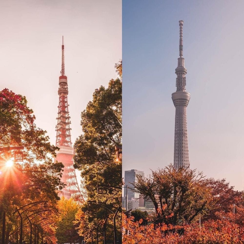 Khám phá vẻ đẹp mộng mơ của mùa thu Nhật Bản 1