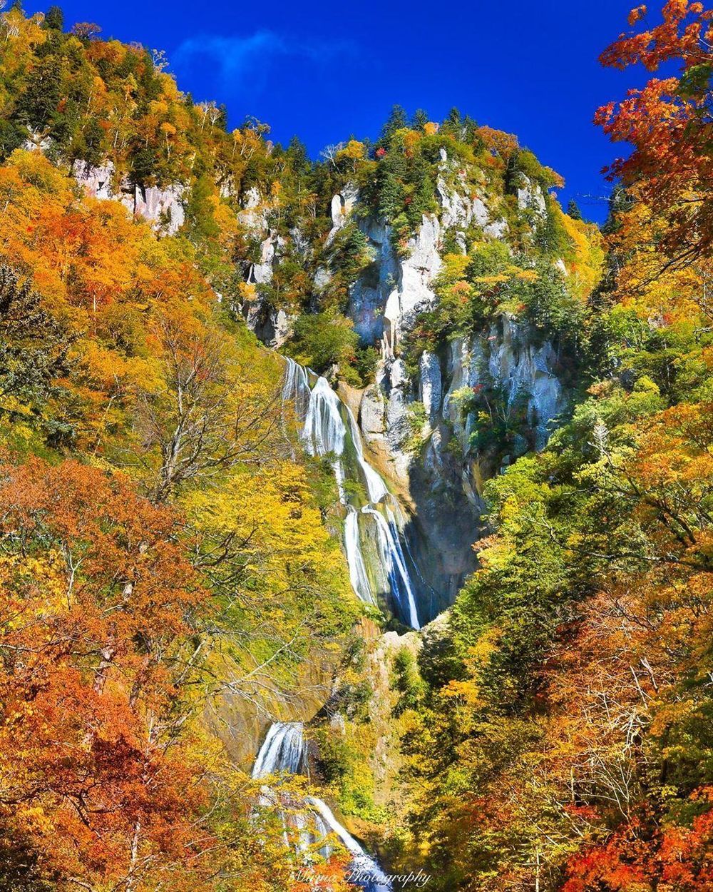 Khám phá vẻ đẹp mộng mơ của mùa thu Nhật Bản 14