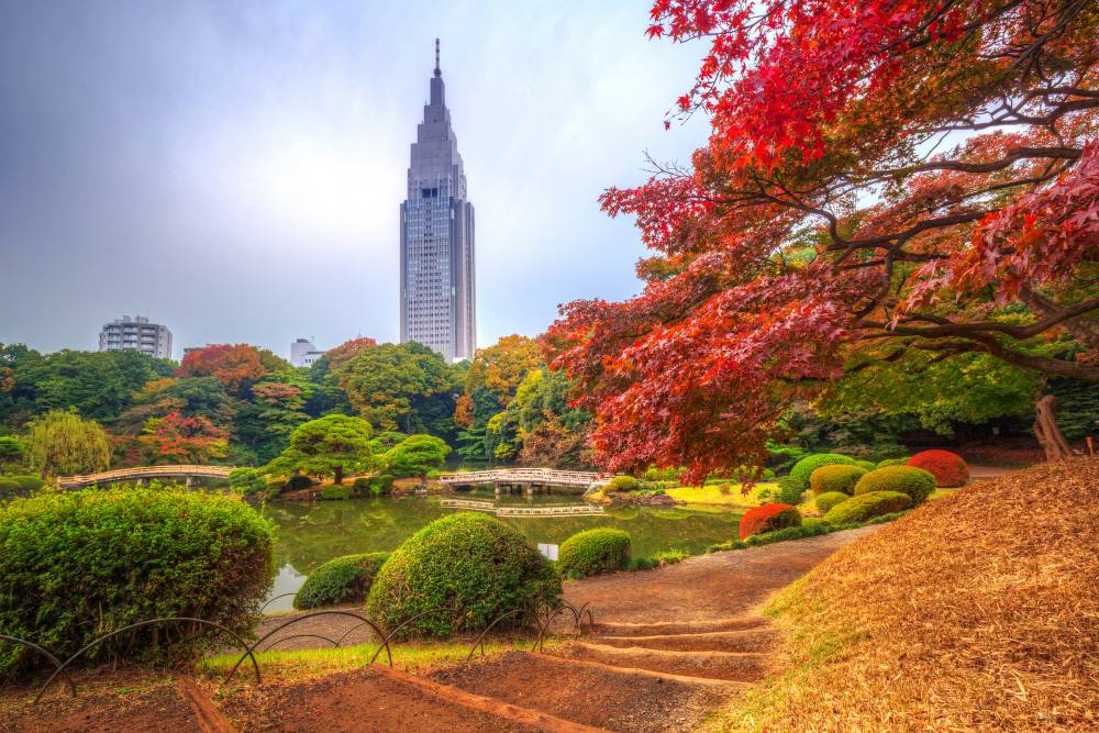 Lịch dự báo mùa lá đỏ ở Nhật Bản 2023 ảnh 5
