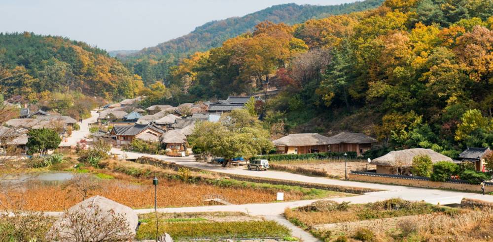 Lịch ngắm mùa thu lá vàng Hàn Quốc 2023 ảnh 4