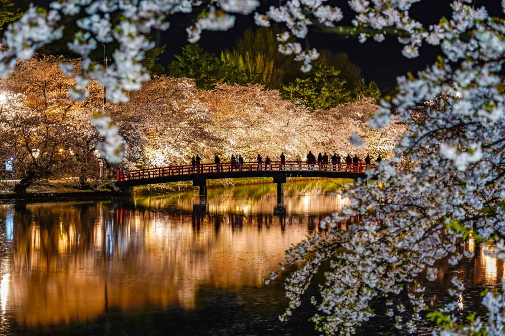 Loạt địa điểm ngắm hoa anh đào không thể đẹp hơn ở Nhật - Ảnh 1