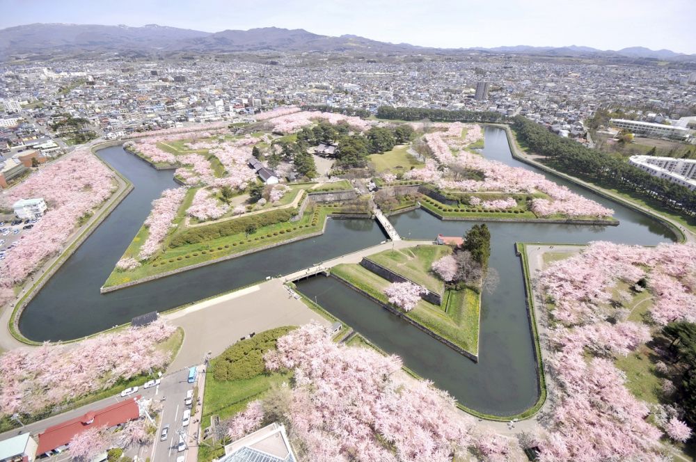 Loạt địa điểm ngắm hoa anh đào không thể đẹp hơn ở Nhật - Ảnh 11
