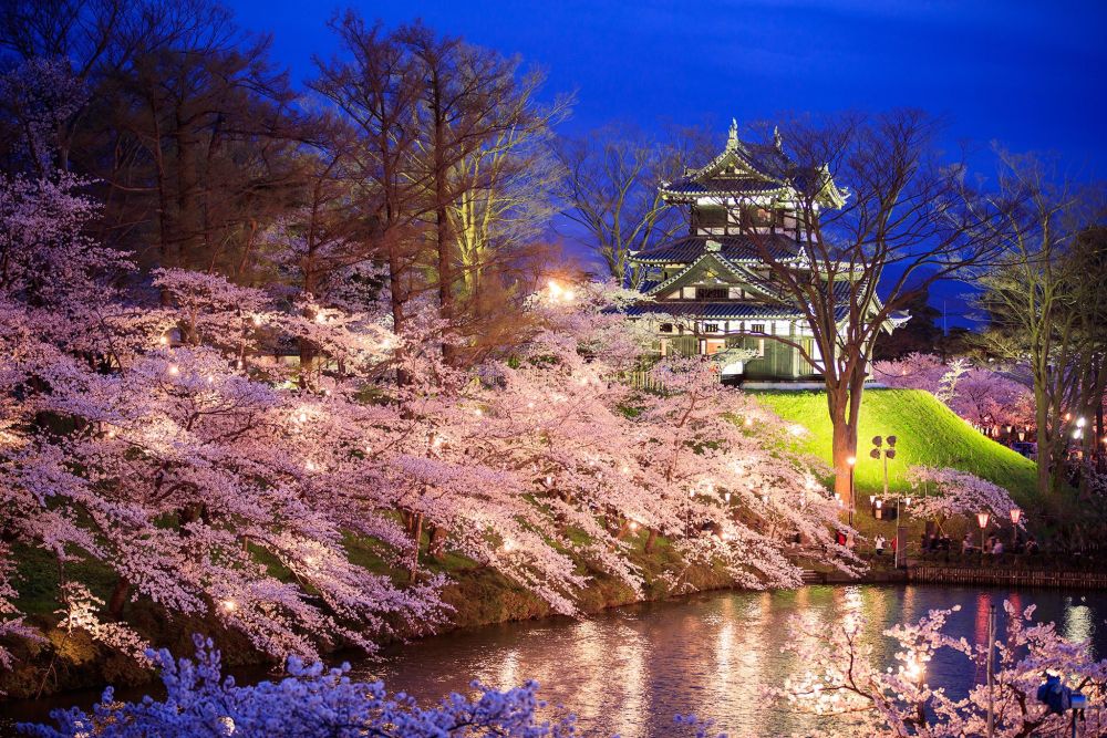 Loạt địa điểm ngắm hoa anh đào không thể đẹp hơn ở Nhật - Ảnh 9