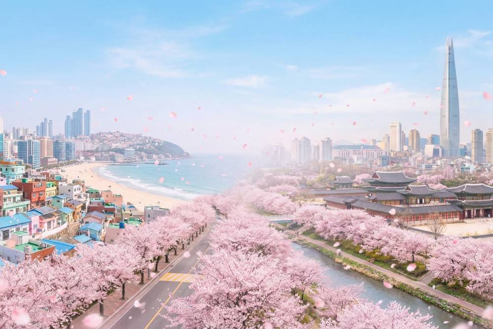 Visa Hàn Quốc 2026 ảnh 1