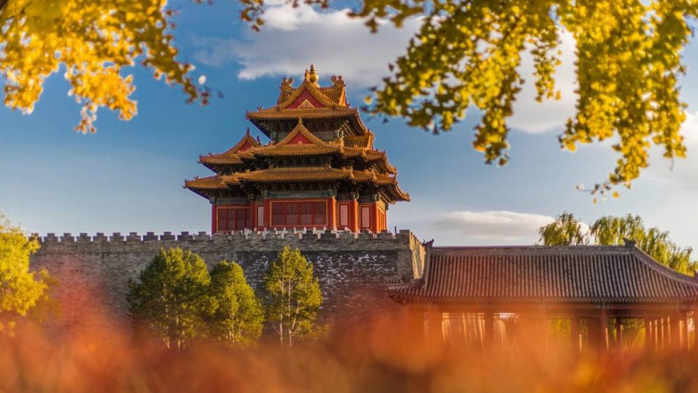 Mùa thu nhuộm vàng cây, lá ở Trung Quốc ảnh 6