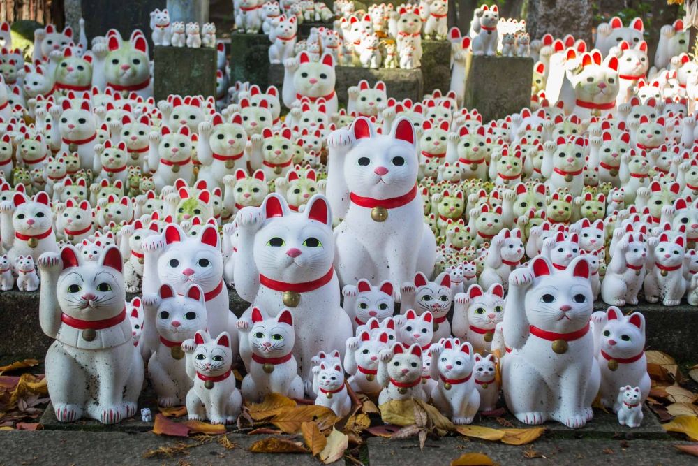 Ngôi đền có hàng nghìn tượng mèo vẫy tay ở Nhật Bản 5
