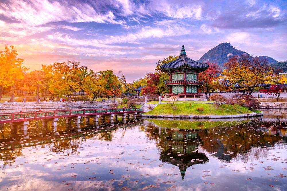 Những điểm check-in không thể bỏ lỡ khi du lịch Hàn Quốc ảnh 1