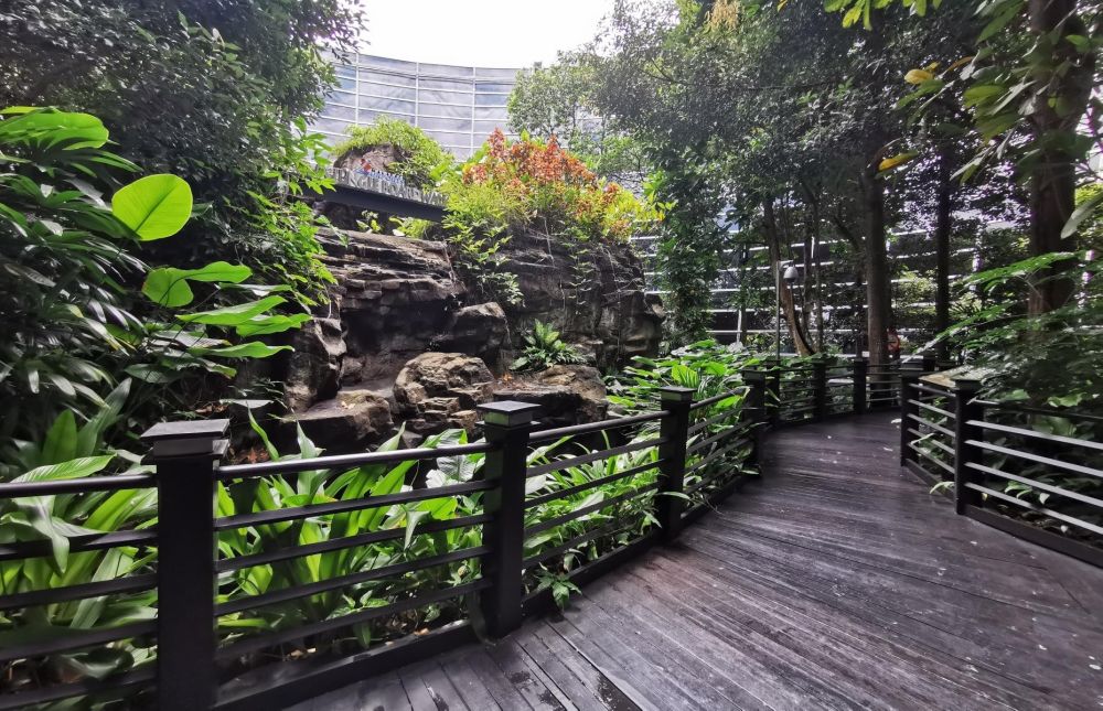 Những sân bay thú vị nhất thế giới chờ du khách khám phá ảnh 4