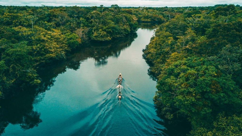 Những sự thật thú vị về Brazil ít người biết 7