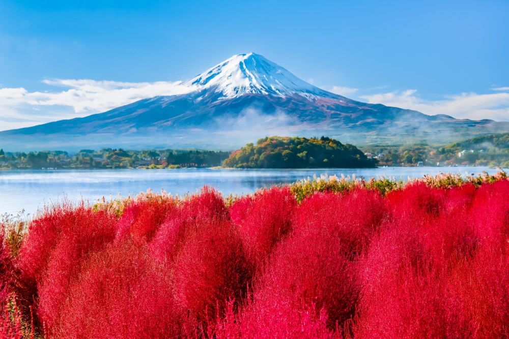 Trải nghiệm đặc sắc quanh núi Phú Sĩ - Ảnh 6
