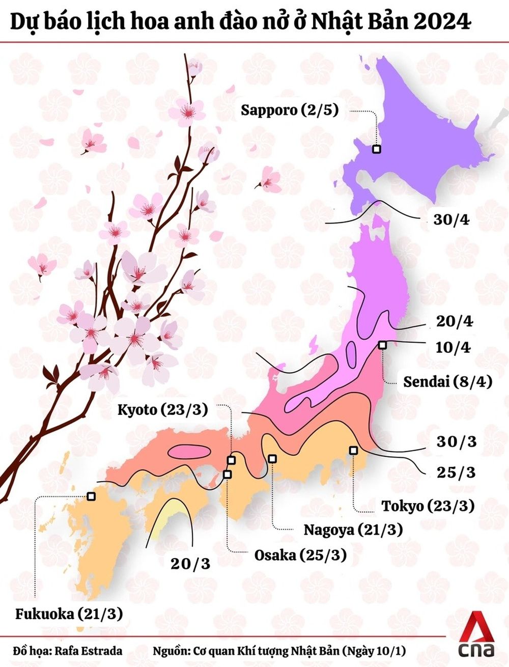 Dự báo thời điểm ngắm hoa anh đào đẹp nhất ở Nhật Bản 2024 - Ảnh 2