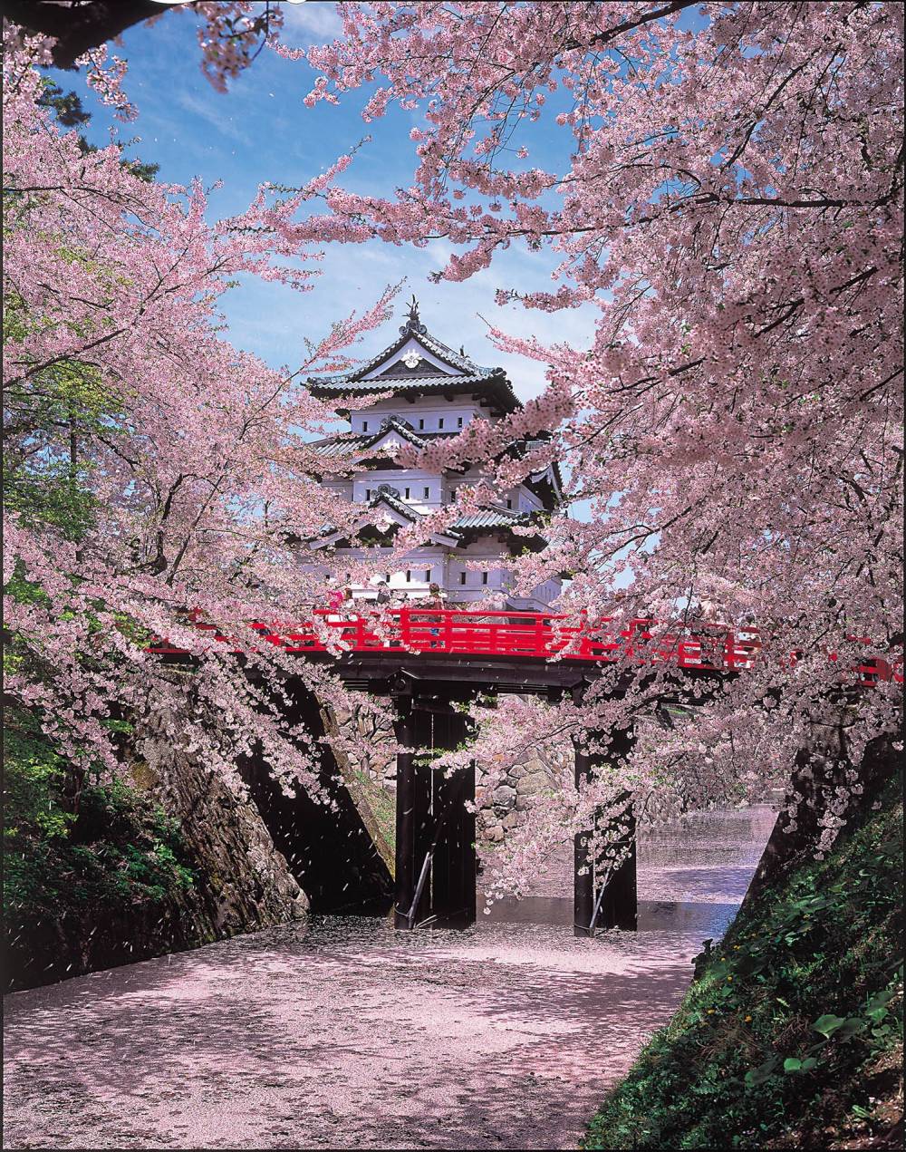 Chiêm ngưỡng top 10 lâu đài đẹp nhất Nhật Bản ảnh 1