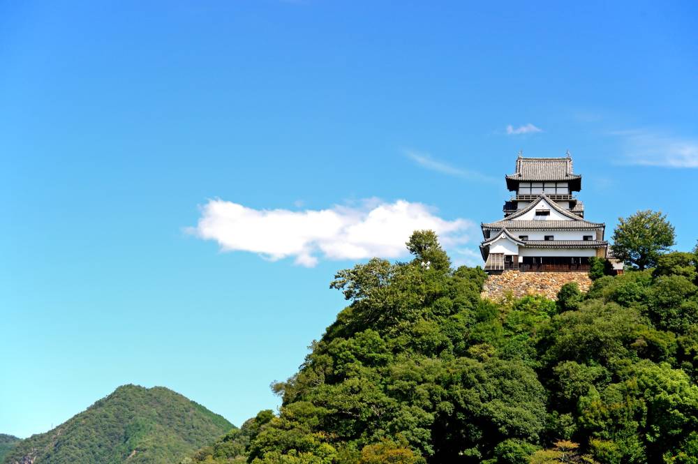 Chiêm ngưỡng top 10 lâu đài đẹp nhất Nhật Bản ảnh 8