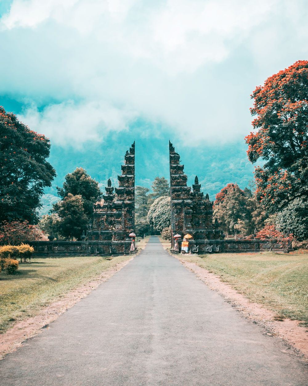 Tour Bali Nghỉ lễ cao cấp - Ngắm cá heo tại Lovina Beach - Ảnh 4