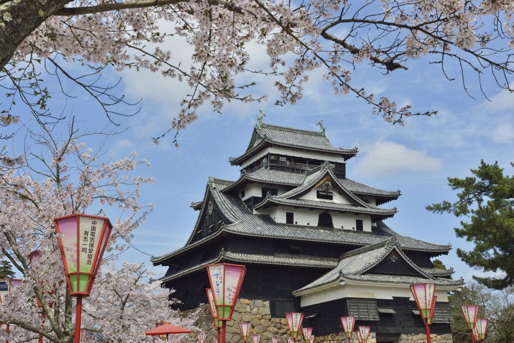 Tour Nhật - Hiroshima - Lâu Đài Matsue Castle Park